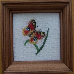 Obrázky 8x8 cm