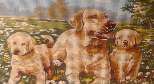 Rozměr 33x22 cm