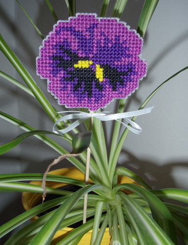 Zápichy do květináče