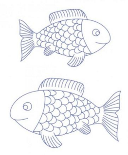 Kapříci