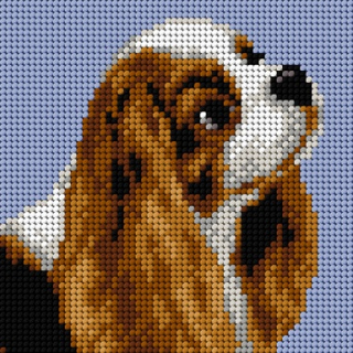 King Charles Spaniel