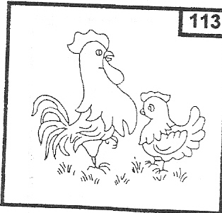 Kohout a kuře