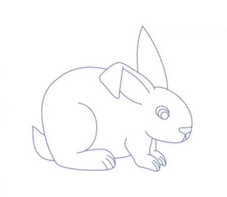 Králík