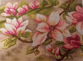Kvetoucí magnolie