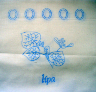 Lípa