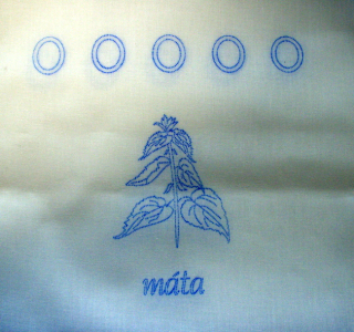 Máta