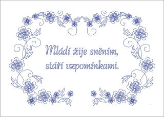 Mládí žije sněním.....