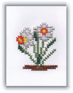 Narcisky