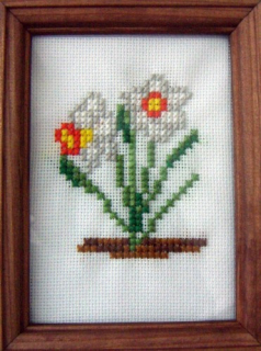 Narcisky