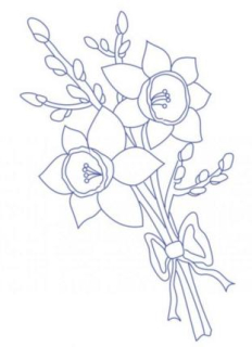 Narcisky