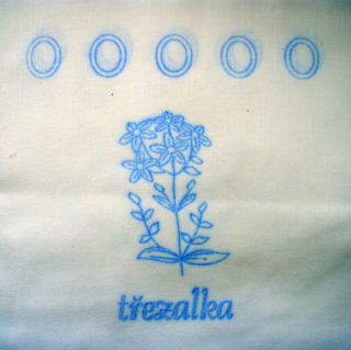Třezalka