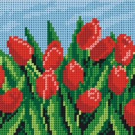 Tulipány